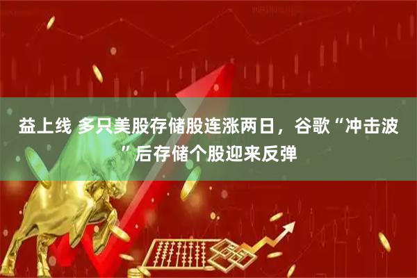 益上线 多只美股存储股连涨两日，谷歌“冲击波”后存储个股迎来反弹