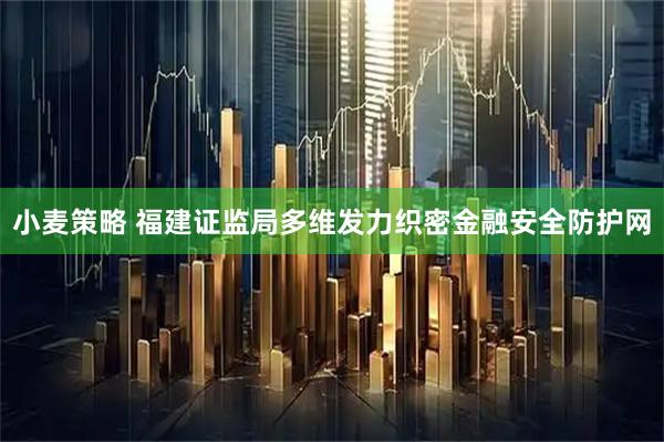 小麦策略 福建证监局多维发力织密金融安全防护网